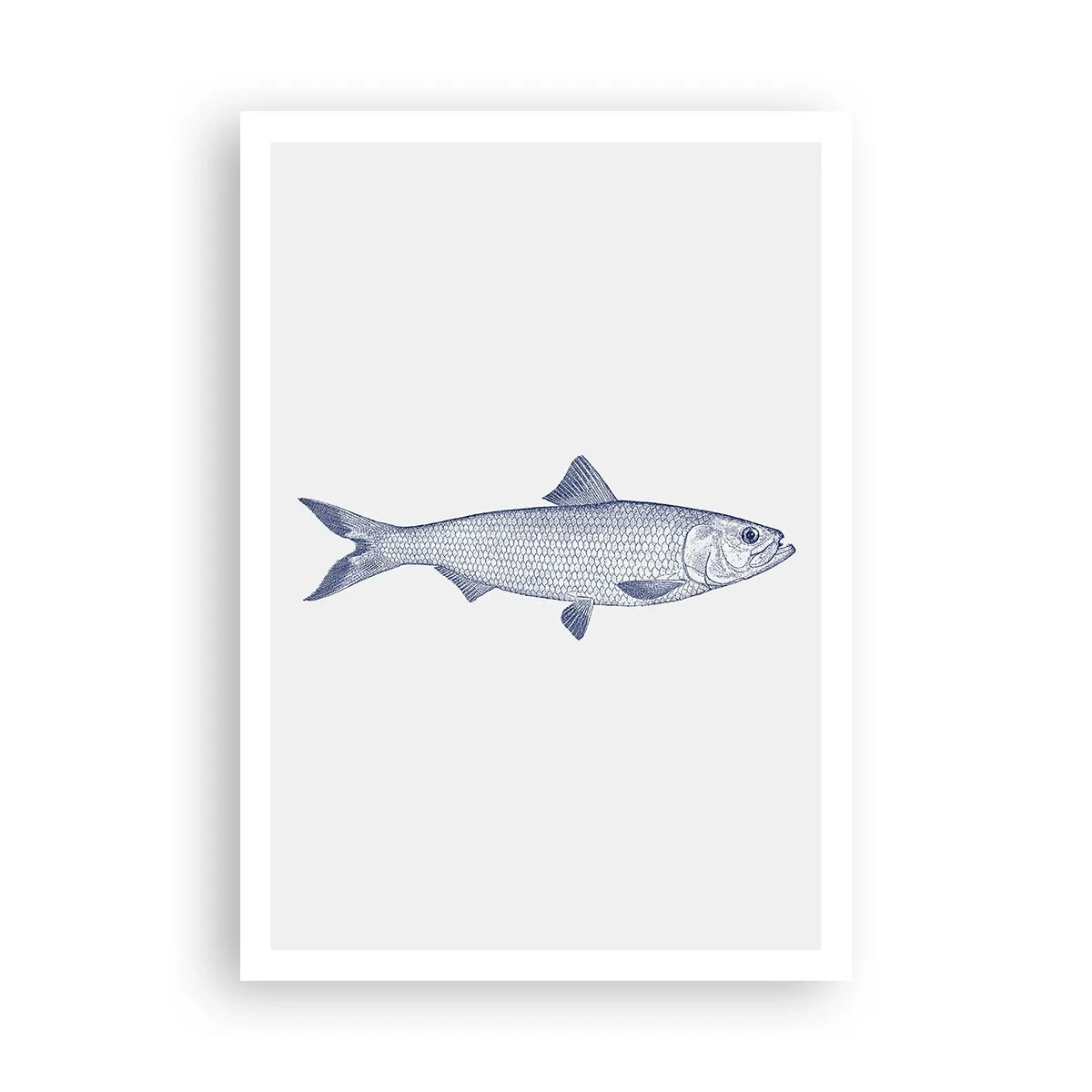 Pôster - Saudações dos mares do norte - 70x100 cm