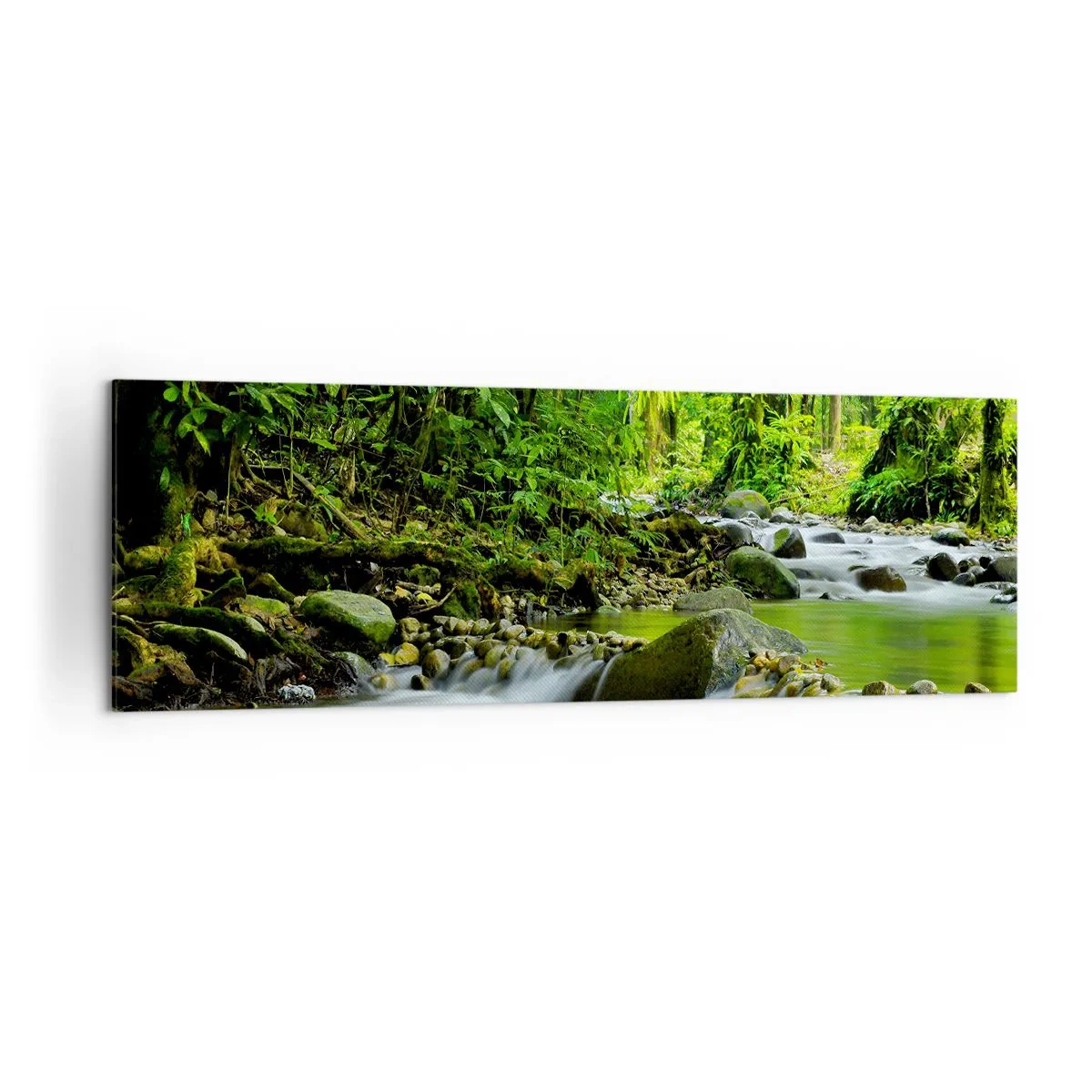 Quadro em tela - Navegar no mar de vegetação - 160x50 cm