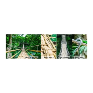Amostra de Papel de Parede Standard Eco - Ponte de macacos sobre a vegetação - Paisagem, Selva, Filipinas - 100x30 cm