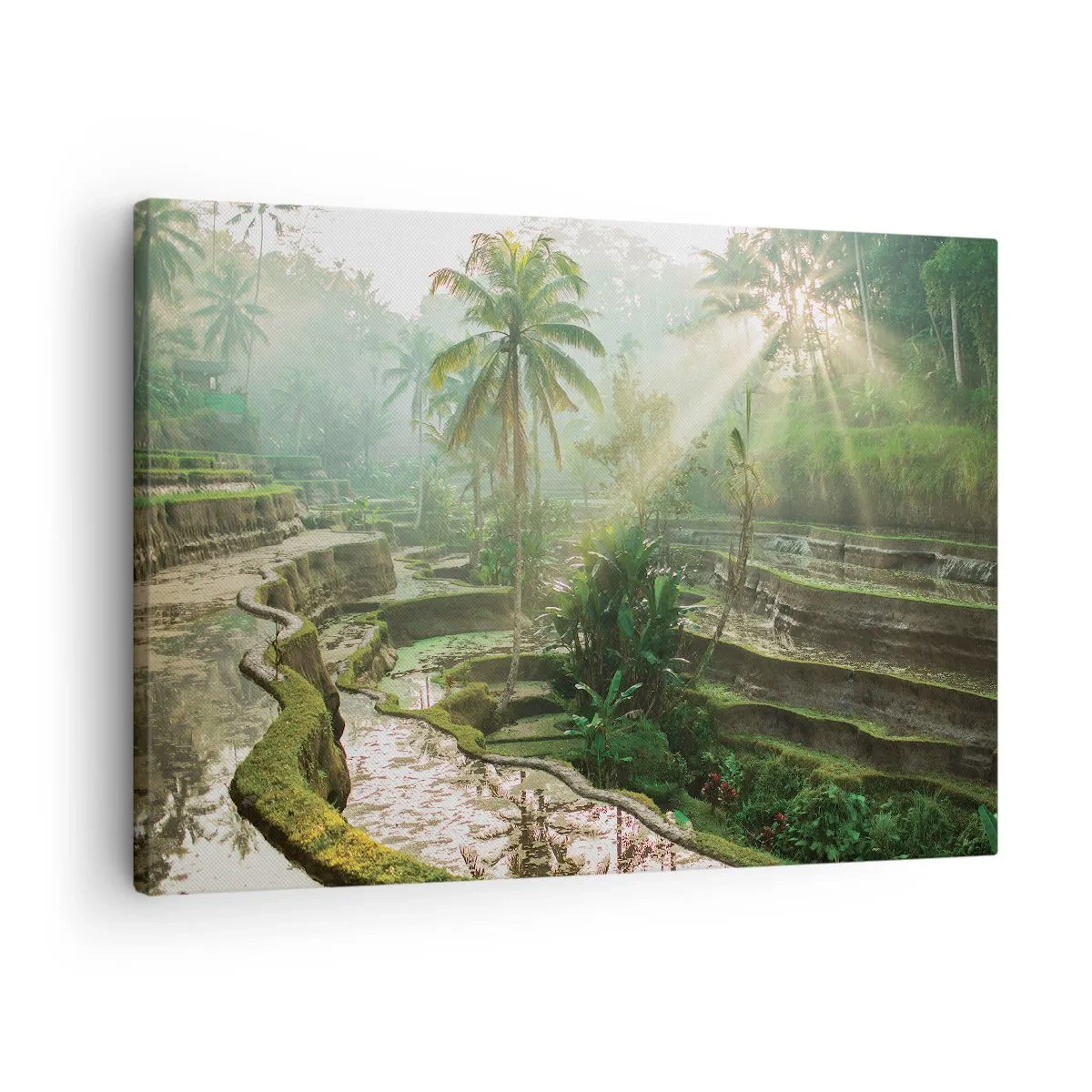 Quadro em tela - Terraços de arroz com palmeiras sob os raios do sol - 70x50cm - Crescer ao sol - Decoração de parede moderna para a sala de estar e quarto ARTTOR