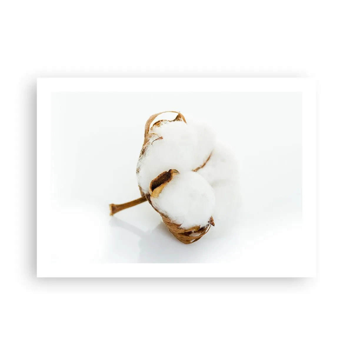 Pôster - Suave por natureza - 70x50 cm