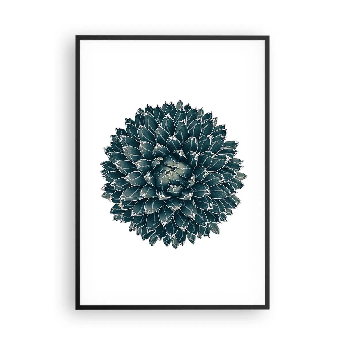 Pôster com moldura preta - Estrela do Deserto - 70x100 cm