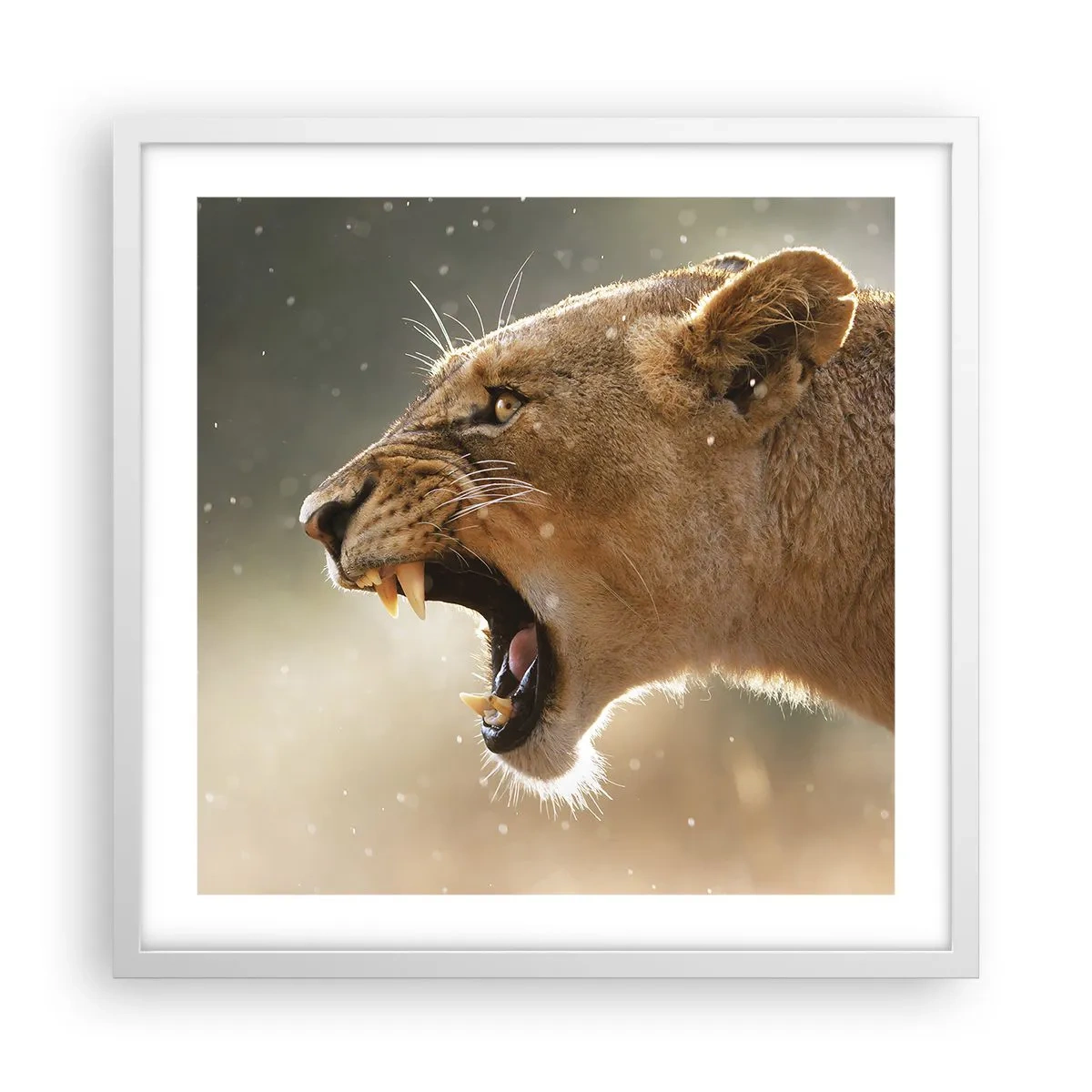 Pôster em moldura branca - Tente não ouvir - 50x50 cm