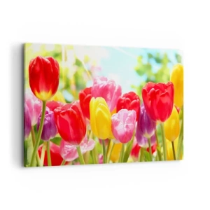 Quadro em tela - Somos nós, as cores de maio! - 120x80 cm