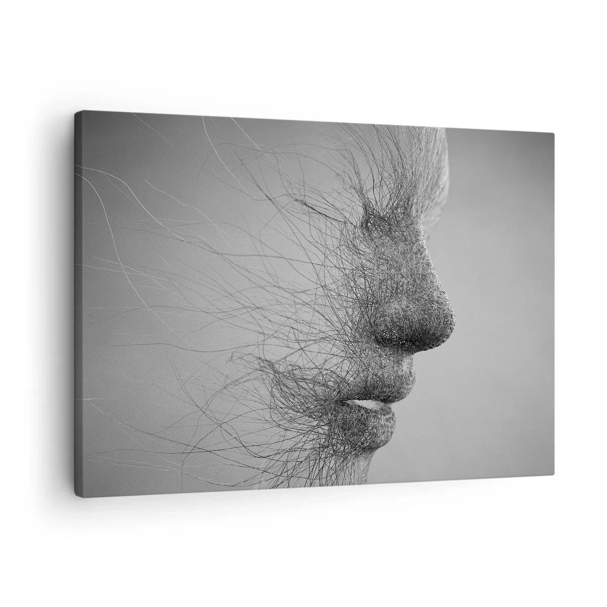 Quadro em tela - Perfil facial artístico criado com linhas delicadas - 70x50cm - Espírito do vento - Decoração de parede moderna para a sala de estar e quarto ARTTOR
