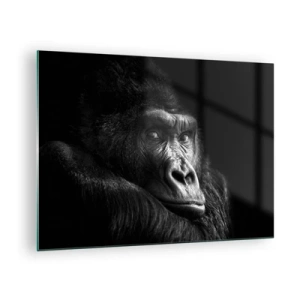 Quadro em vidro - Retrato em preto e branco de um gorila na sombra de uma janela - 70x50cm - E para que é que estás a olhar? - Decoração de parede moderna para a sala de estar e quarto ARTTOR