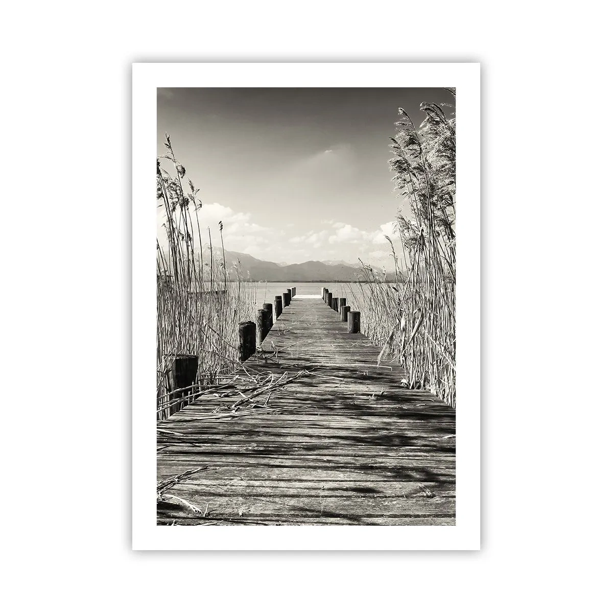 Pôster - No silêncio da relva - 50x70 cm