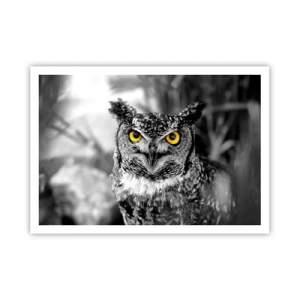 Pôster - Nada pode ser escondido - 100x70 cm