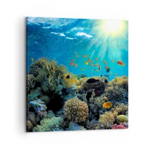 Quadro em tela - Tesouros subaquáticos - 60x60 cm