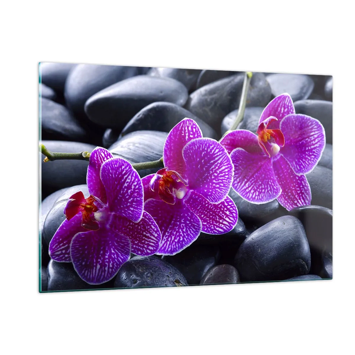 Quadro em vidro - As pedras de iluminaram de deleite - 120x80 cm