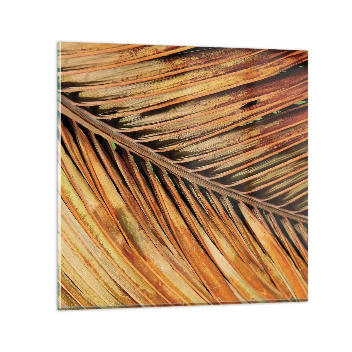Quadro em vidro - Ouro de coco - 40x40 cm