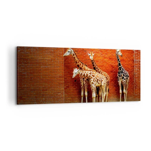 Quadro em tela - Vê alguma acácia? - 120x50 cm