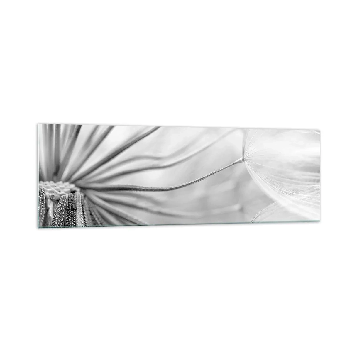 Quadro em vidro - Dentes de leão, pipas - 160x50 cm