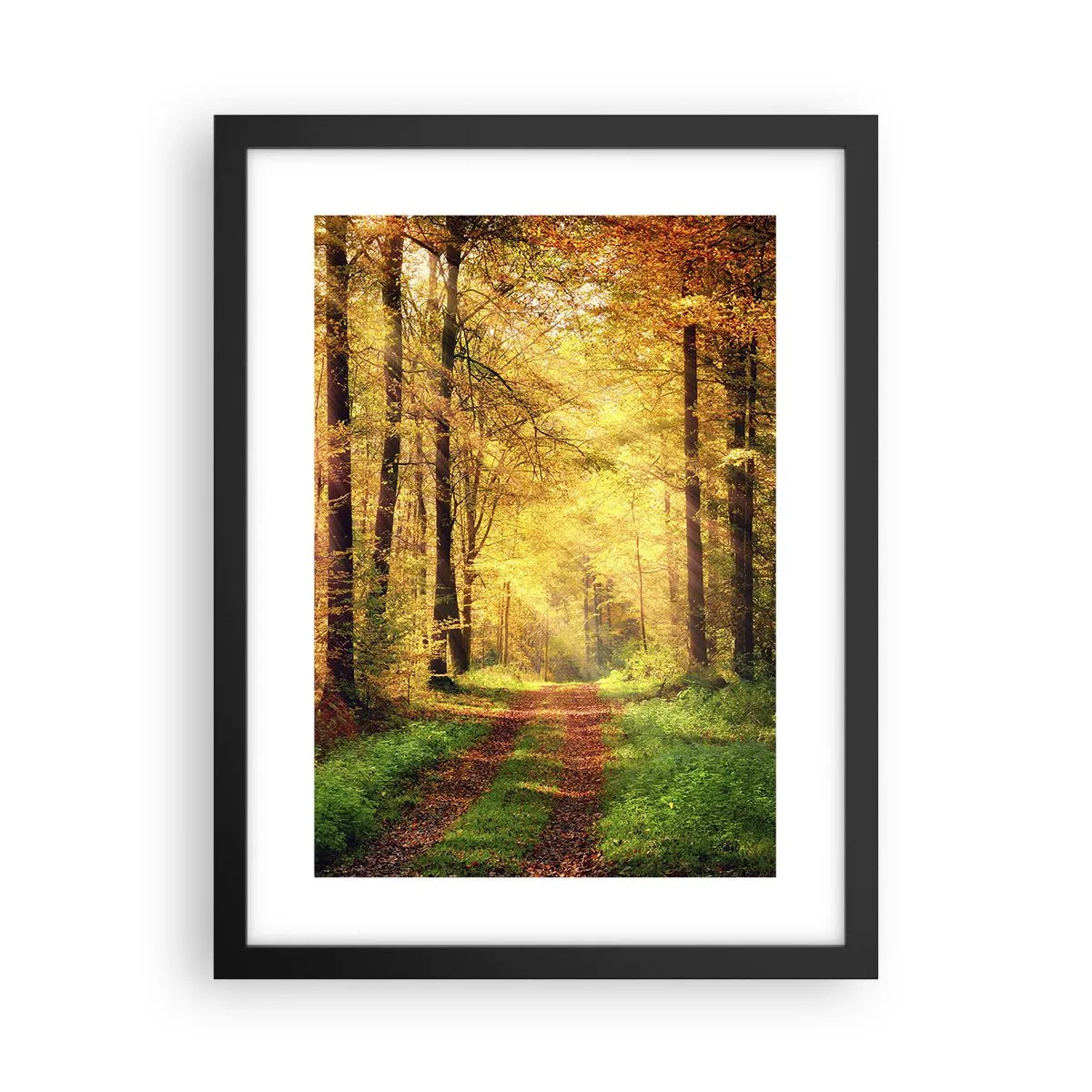 Pôster com moldura preta - Silêncio dourado da floresta - 30x40 cm