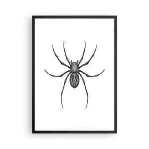 Pôster com moldura preta - Ilustração detalhada de uma aranha em um fundo branco - 50x70cm - Precisão perturbadora - Decoração de parede moderna para a sala de estar e quarto ARTTOR