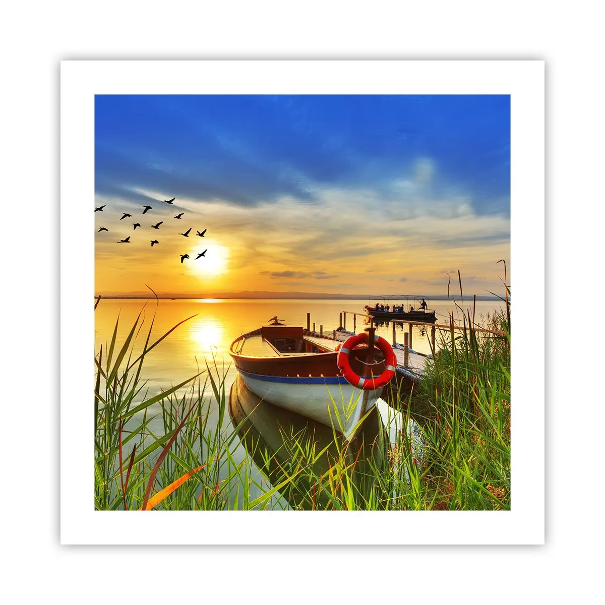 Pôster - Os corvos-marinhos já estão de saída - 50x50 cm