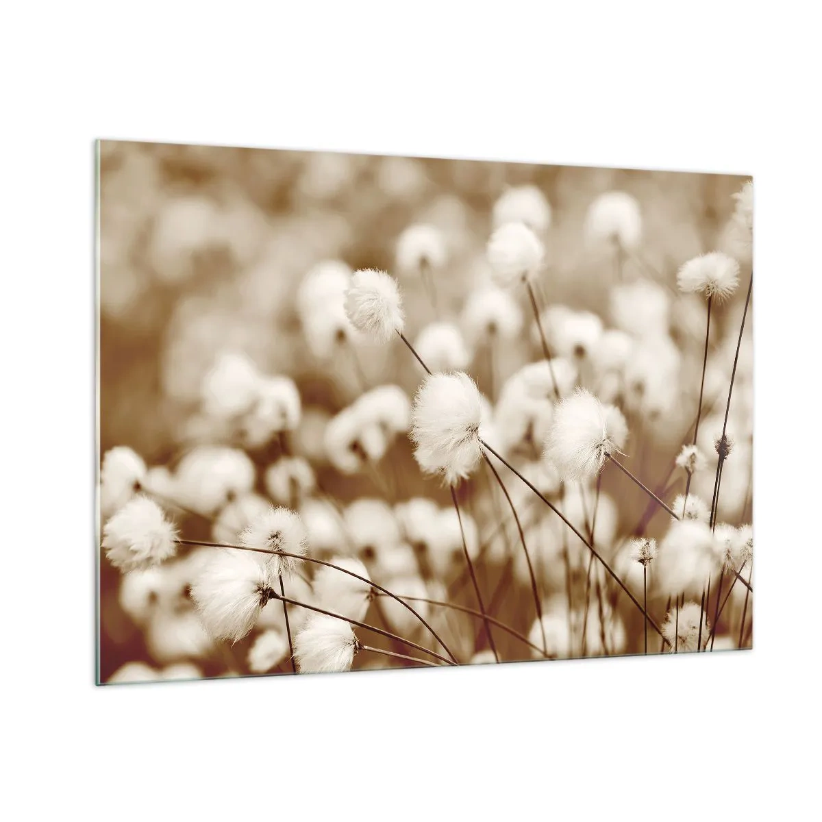 Quadro em vidro - Campos felpudos - 100x70 cm