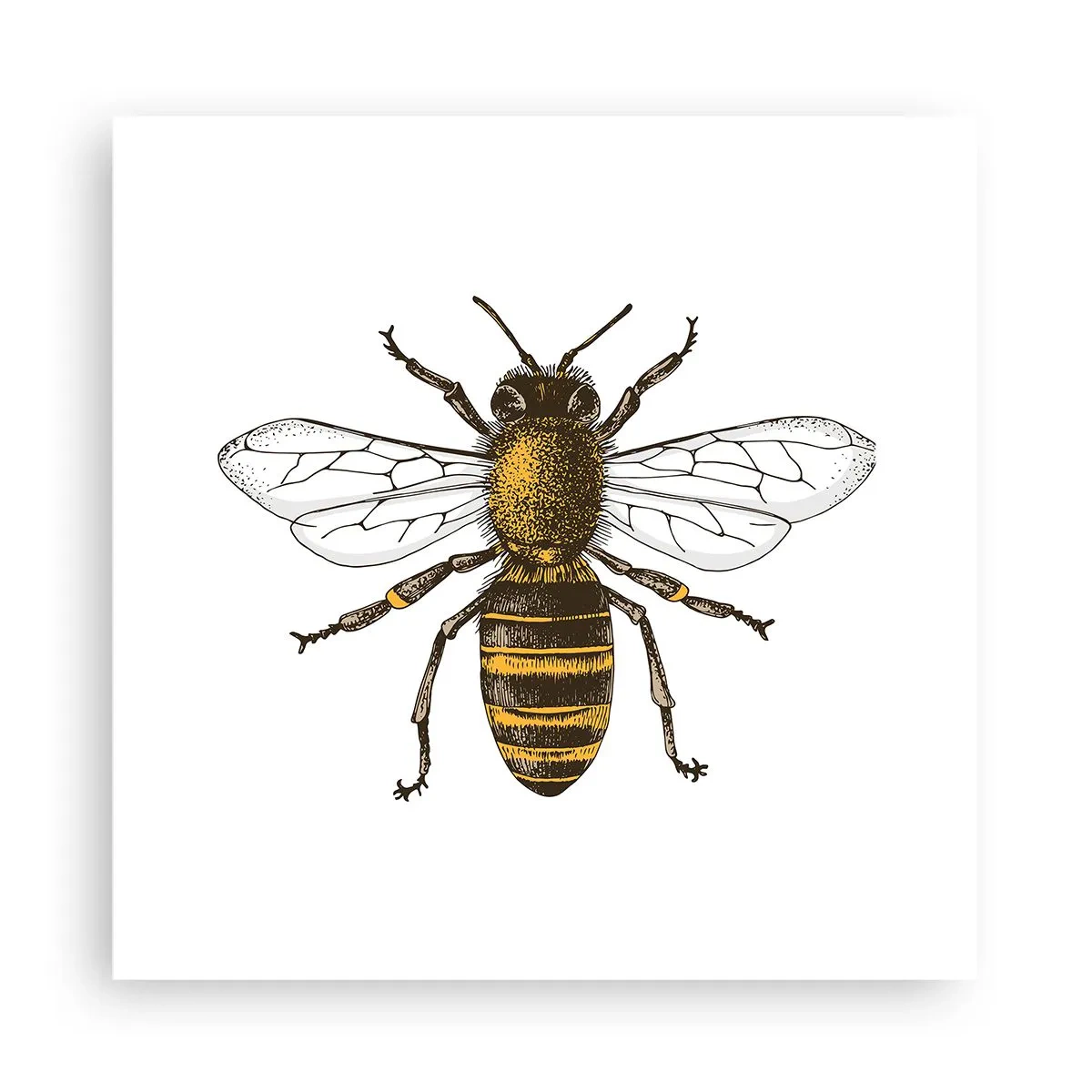 Pôster - Linda e boa - 30x30 cm