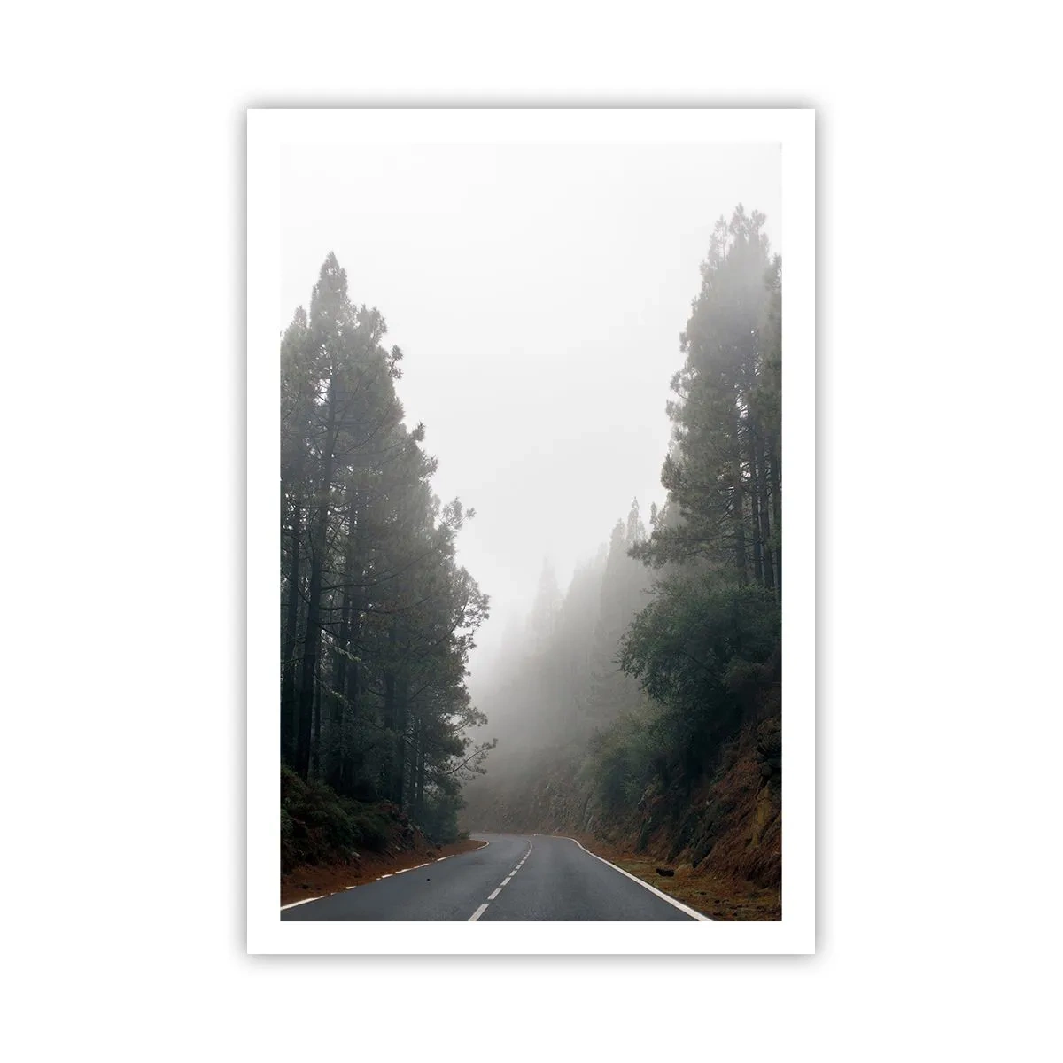 Pôster - O conto da floresta mágica - 61x91 cm