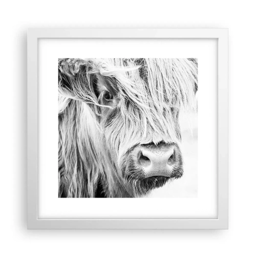 Pôster em moldura branca - Natureza selvagem escocesa - 30x30 cm
