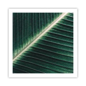 Pôster - O ritmo da natureza - 60x60 cm