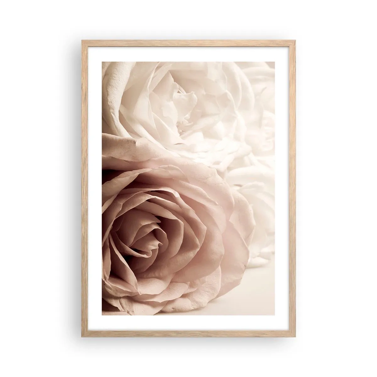 Pôster com moldura de carvalho claro - No coração de uma rosa - 50x70 cm