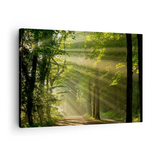 Quadro em tela - Caminho na floresta com raios de sol brilhando através das árvores - 70x50cm - Momento florestal - Decoração de parede moderna para a sala de estar e quarto ARTTOR