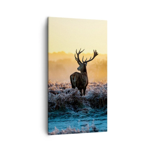 Quadro em tela - Coroado em sua terra - 45x80 cm