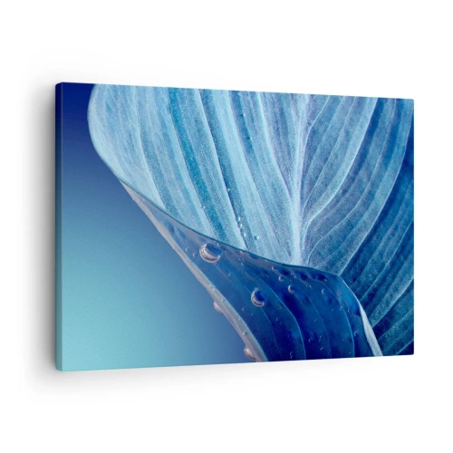 Quadro em tela - Uma folha azul com gotas de água visíveis - 70x50cm - Gotas escondidas no azul - Decoração de parede moderna para a sala de estar e quarto ARTTOR