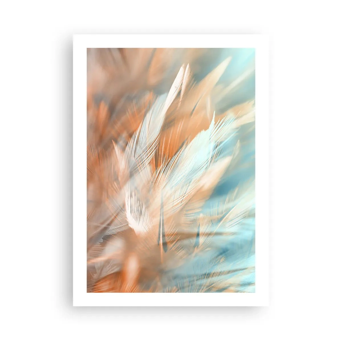 Pôster - Na terra da gentileza - 50x70 cm
