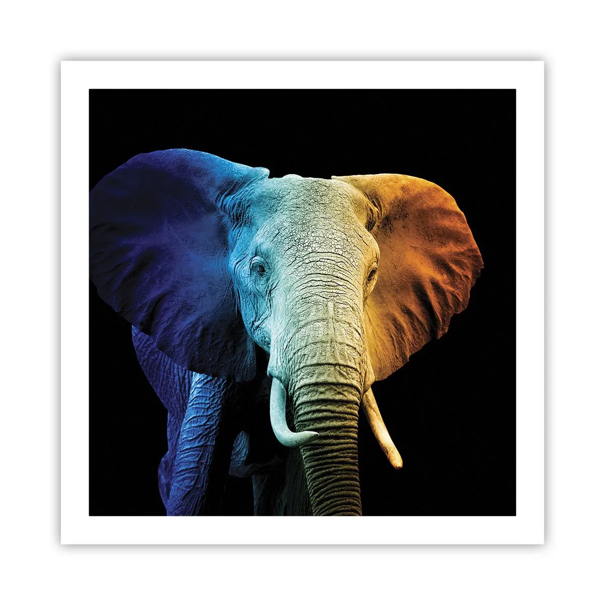 Pôster - Excêntrico, não esquisito - 60x60 cm