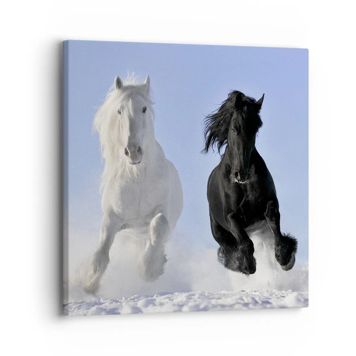 Quadro em tela - Galope preto e branco - 30x30 cm