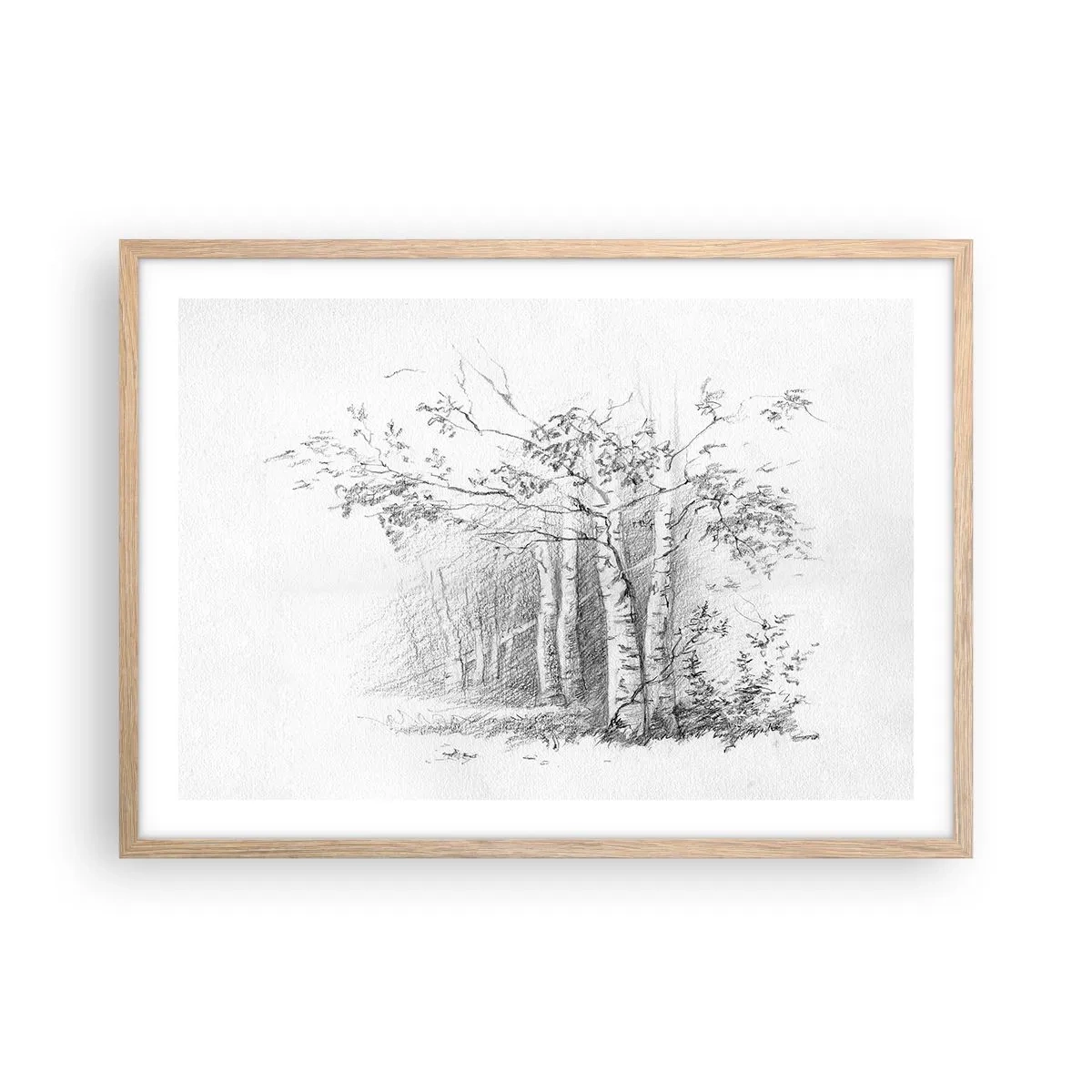Pôster com moldura de carvalho claro - Luz da floresta de bétulas - 70x50 cm