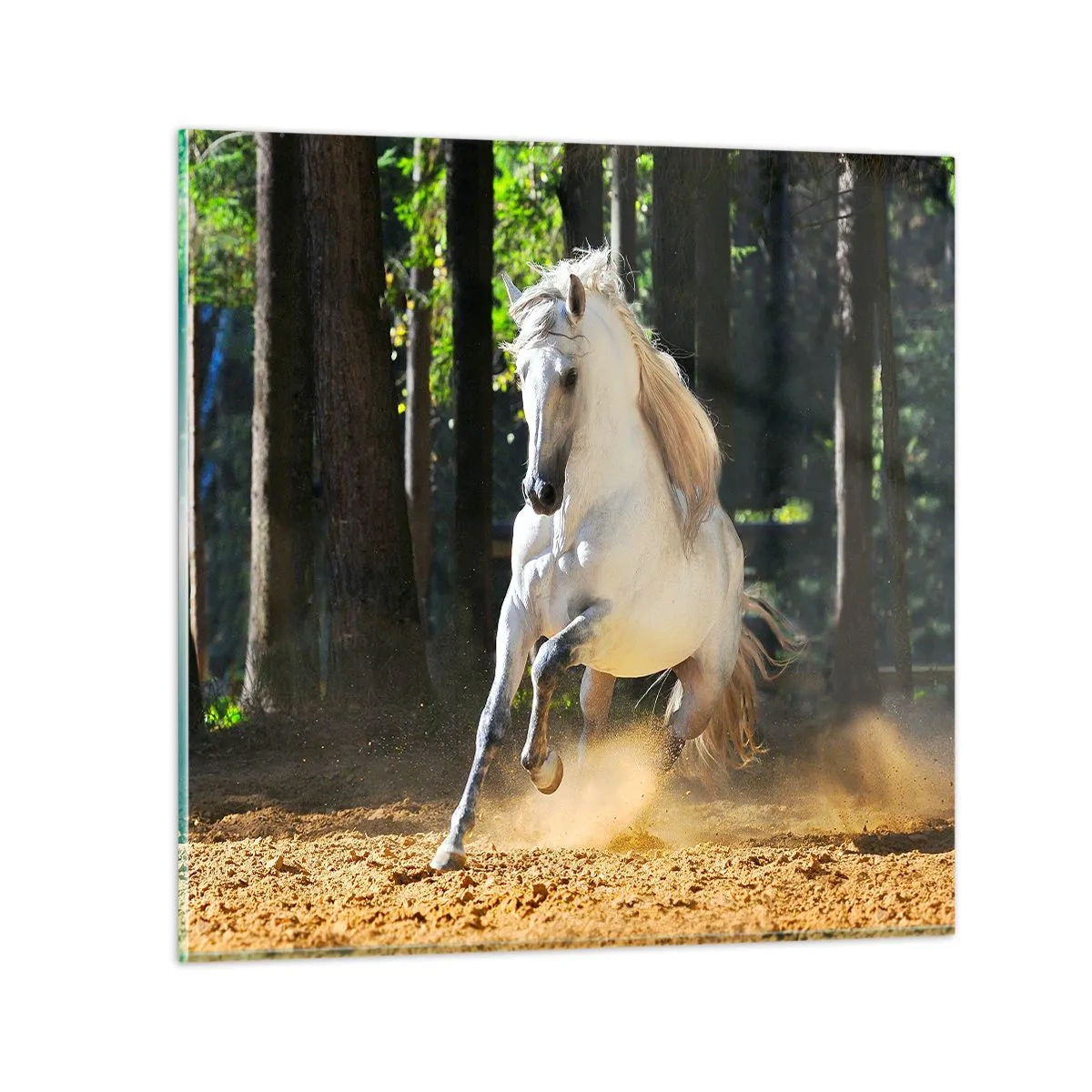 Quadro em vidro - Como de um romance de fantasia - 40x40 cm