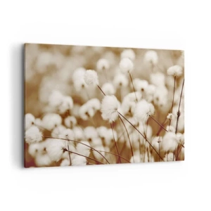 Quadro em tela - Campos felpudos - 120x80 cm