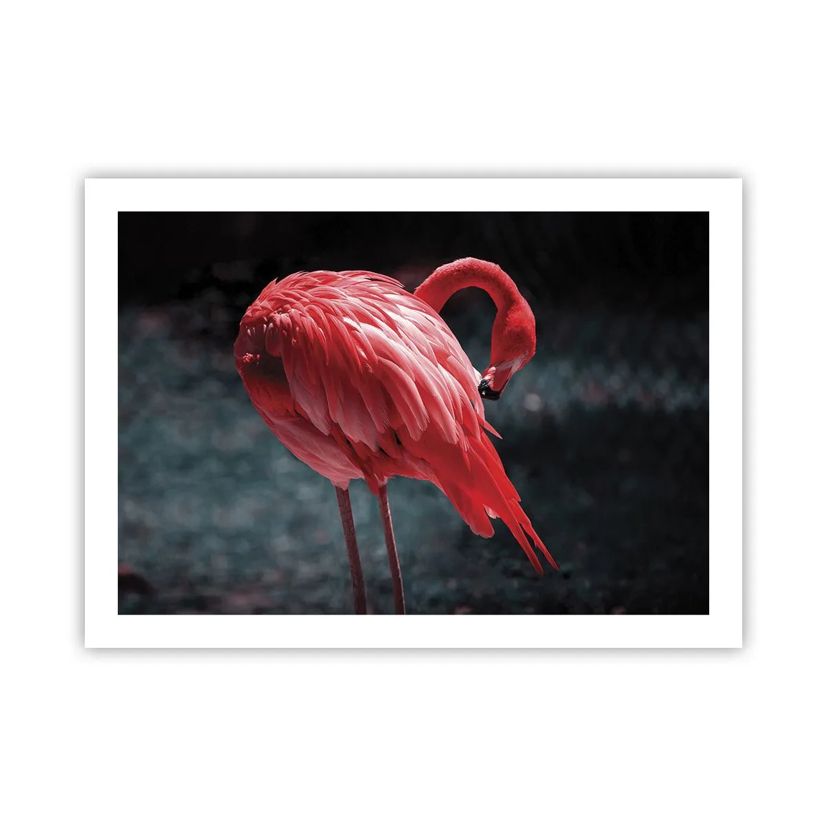 Pôster - Poema carmesim da natureza - 70x50 cm