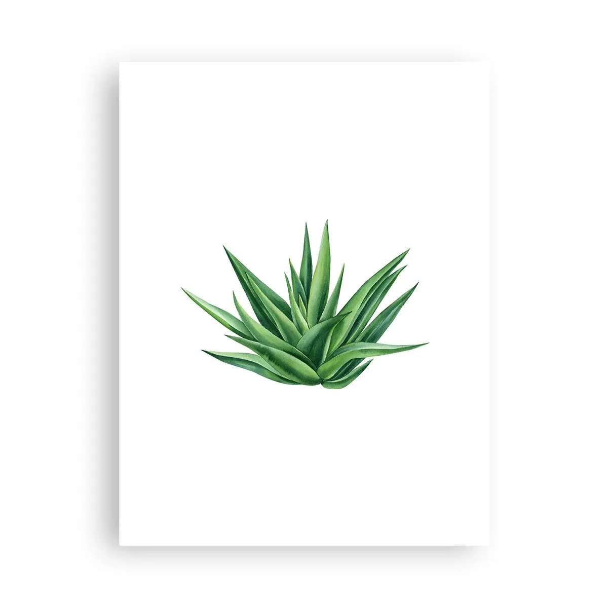 Pôster - Verde – força – vida - 30x40 cm