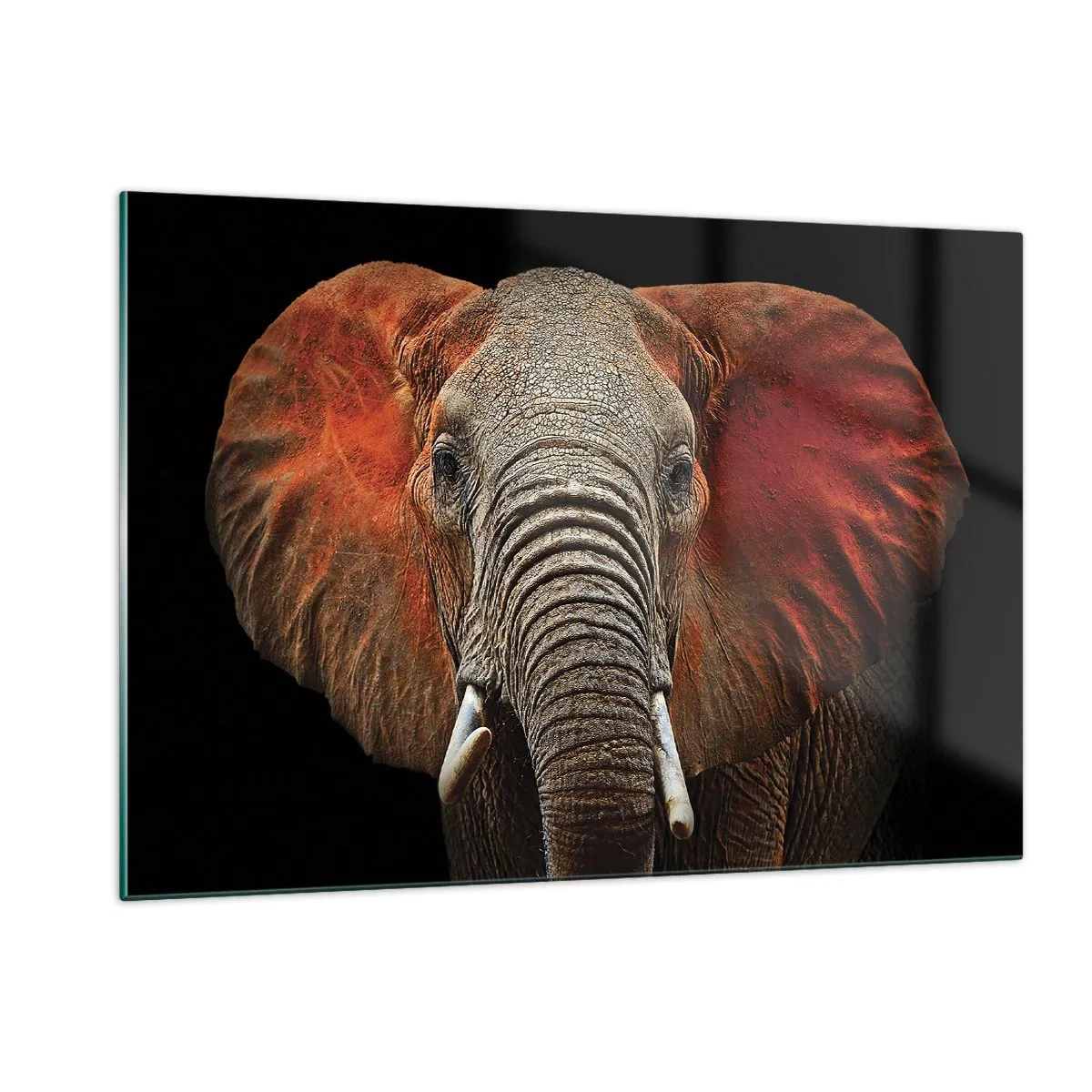Quadro em vidro - Eu sou selvagem, e você? - 120x80 cm