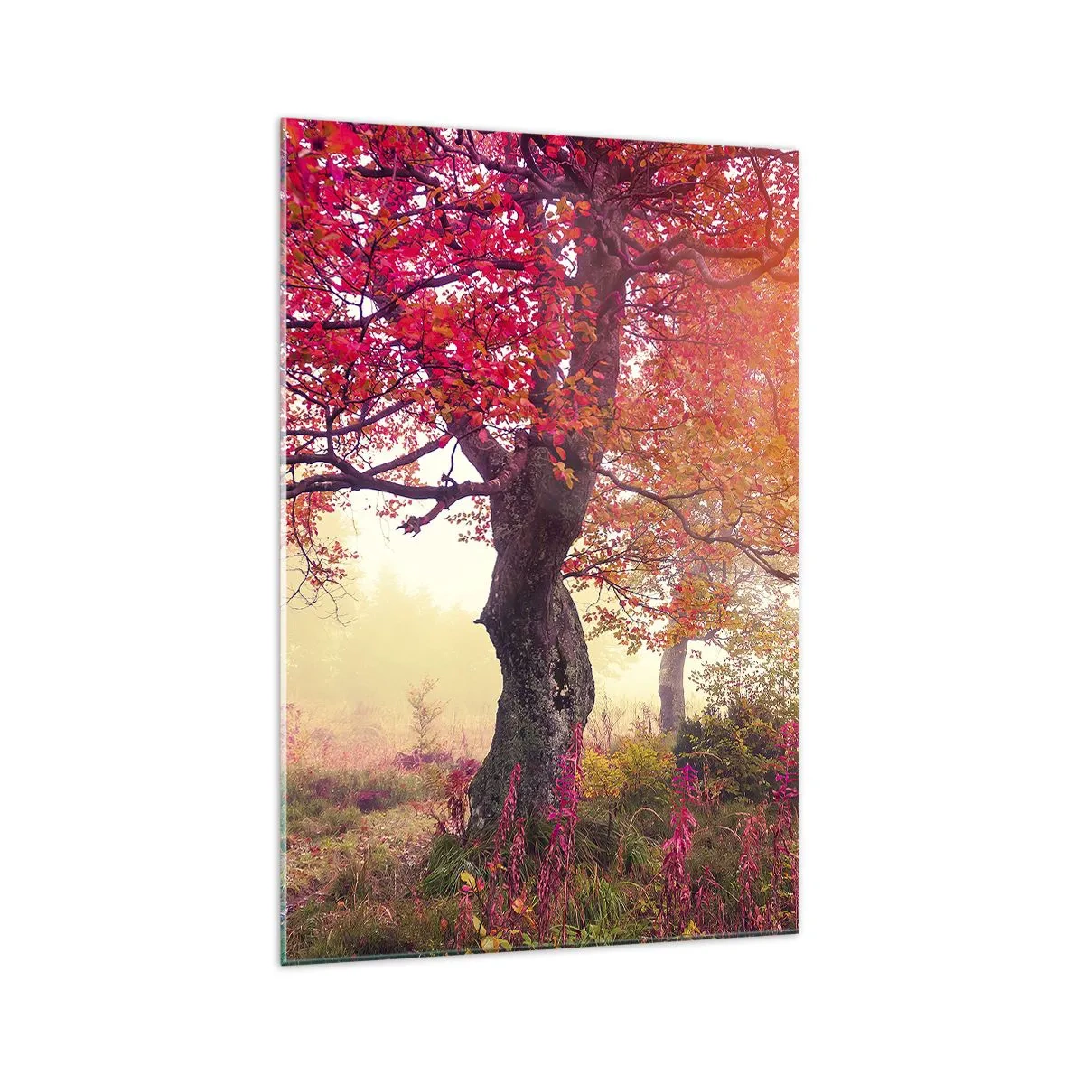 Quadro em vidro - Um frenesi de florescimento - 70x100 cm