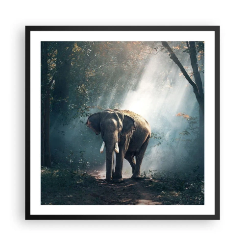 Pôster com moldura preta - Um passeio descontraído - 60x60 cm