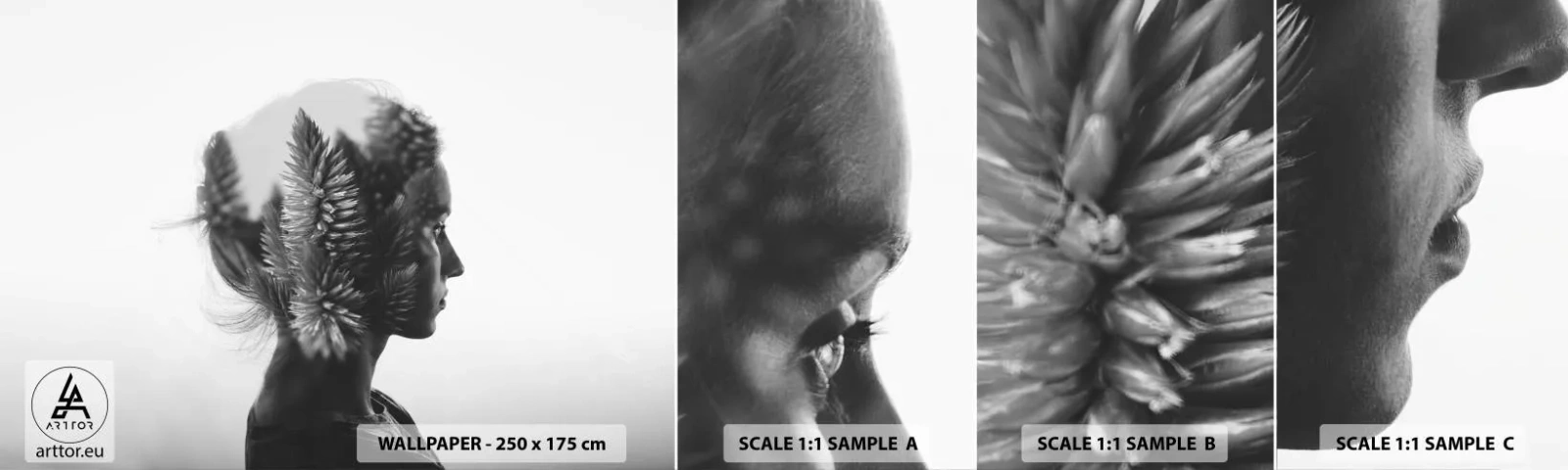 Amostra de papel de parede autocolante Deluxe Sticker - A senhora do pinhal - Abstração, Mulher, Pedaço - 100x30 cm