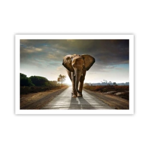 Pôster - Não faz parte da composição da porcela - 91x61 cm