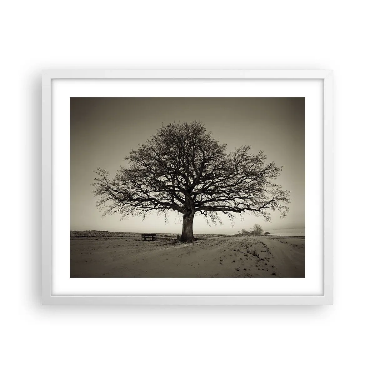 Pôster em moldura branca - Daqui para a eternidade - 50x40 cm