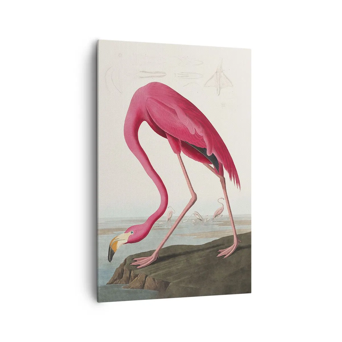 Quadro em tela - Uma criatura surpreendente - 80x120 cm