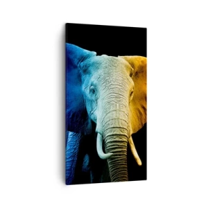 Quadro em tela - Excêntrico, não esquisito - 45x80 cm