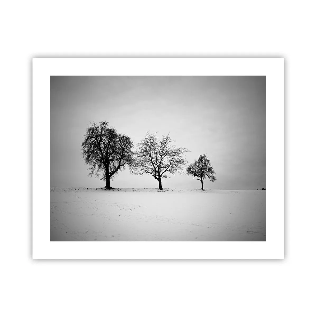 Pôster - Com que sonham elas? - 50x40 cm