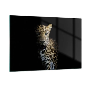 Quadro em vidro - Beleza escura - 120x80 cm