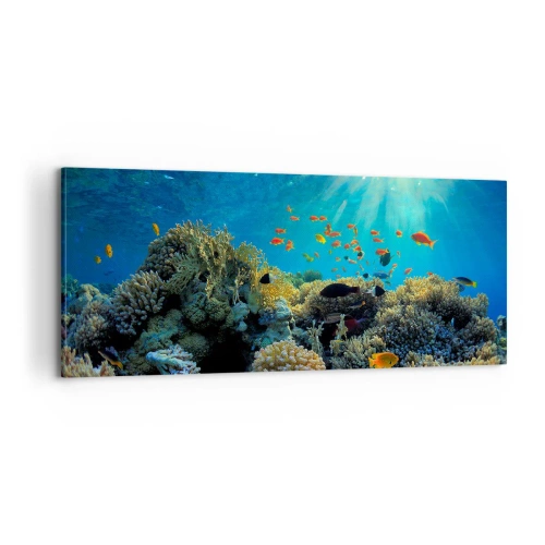 Quadro em tela - Tesouros subaquáticos - 100x40 cm