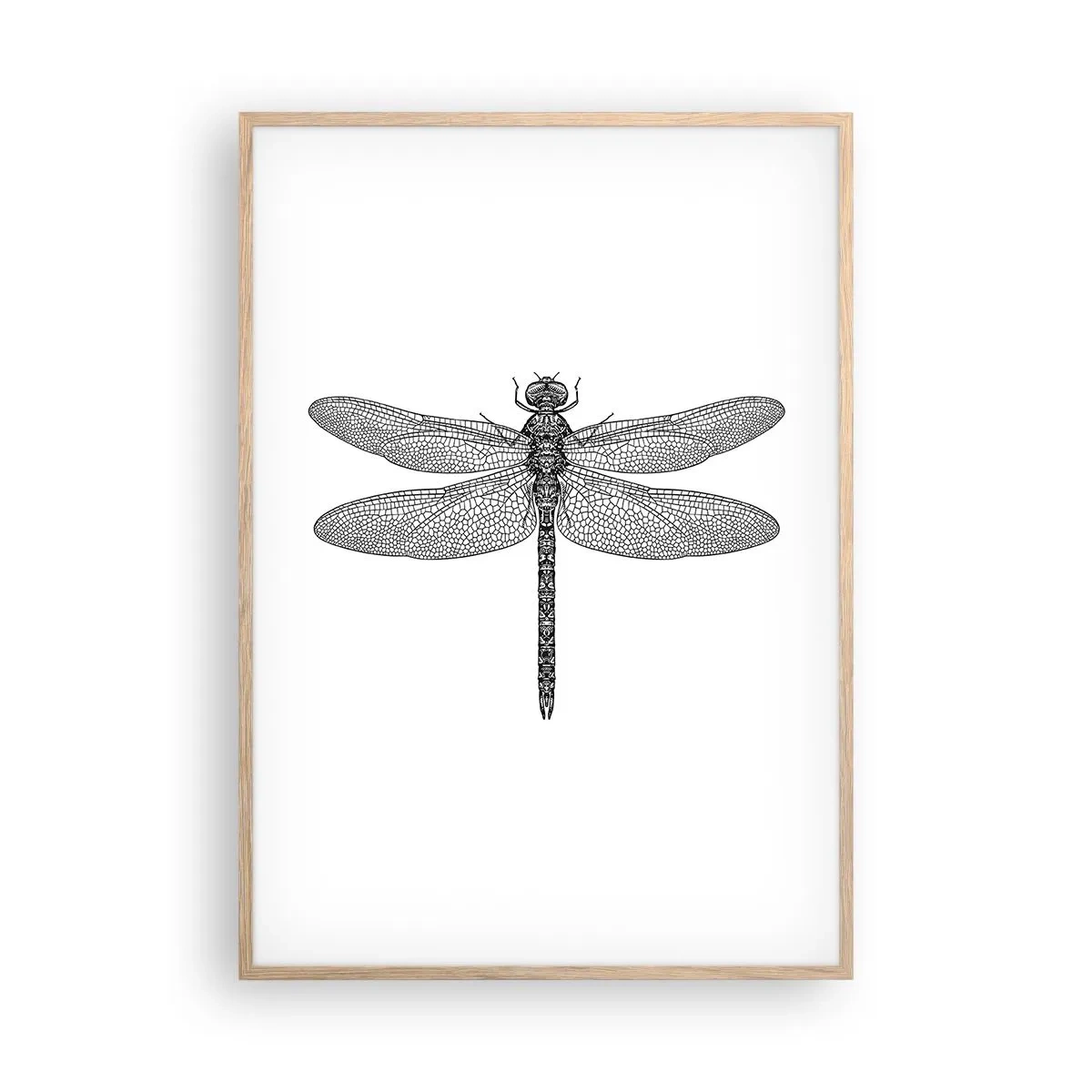 Pôster com moldura de carvalho claro - Precisão da natureza - 70x100 cm