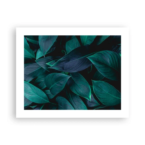 Pôster - Verde em si - 50x40 cm